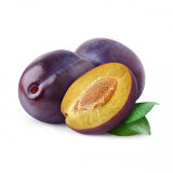 Stanley Birton Erik Fidanı - Tüplü ve Aşılı 3 Adet