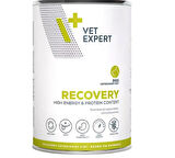 Vet Expert Recovery Konserve Köpek Maması 400G