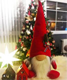 Gnome, şans cücesi, hediye, noel, yeni yıl hediyesi