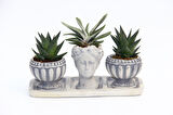 TRİO HELEN GRİ SUKULENT SETİ - Haworthia Limifolia, Gasteria