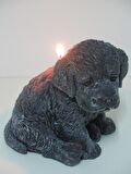 MİSSİ BÜYÜK SİYAH KÖPEK MUM