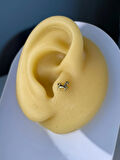 At Figürl Altın Tragus Küpe