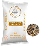 EKBERA - Güvercin Yemi (Buğdaylı) – 10 Kg