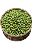 Ham Zeytin Yeşil Zeytin (2025 Yeni Mahsül) Kendi Zeytinini Kendin Yap