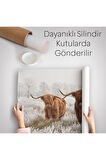 İskoçya Sığırları Dekoratif Kanvas Duvar Örtüsü-Halısı 1150
