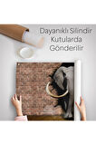 Duvardan Çıkan Fil Dekoratif Kanvas Duvar Örtüsü-Halısı-3620
