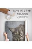 Kedi Kafalı İnsan Duvar Örtüsü - Halısı -4985