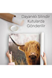 Amerikan Yayla İneği Kanvas Duvar Örtüsü-Halısı-5156
