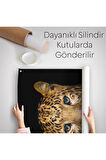 Leopar Dekoratif Duvar Örtüsü - Halısı-5959