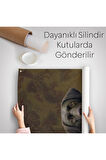 Pipo İçin Köpek Duvar Örtüsü - Halısı-6032
