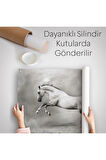Çöldeki Beyaz At Duvar Örtüsü-Halısı-6598