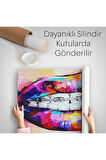 Diş Teli ve Renkli Dudaklar Graffti Duvar Örtüsü-Halısı-6651