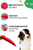 Havhav Meksika Temalı Köpek Oyuncak Seti Hışırtı Sesli Kaktüs Ve Vikvik Sesli Peluş Köpek Oyuncakları