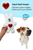 Havhav Hav Love You Peluş Köpek Oyuncak Seti Vikvikli Şarap, Hışırtılı Tavşan, Çekiştimeli Mektup