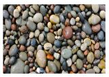 Doğal Deniz Taşı 1-3cm Aralığında 1 Kg Teraryum Akvaryum Çiçek süsleme