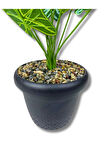 Plastik Saksıda Yapay Alocasia Bitkisi 70 Cm 12 Dal