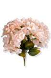 Somon Krem Yapay Pastel Ortanca Demeti 35 Cm 7 Dal