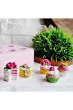 5'li Cupcake Ve Pasta Teraryum Obje Minyatür Obje Figür Aksesuar Teraryum Malzemeleri