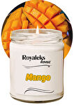 Doğal Özel Seri Kokulu Dekoratif Kavanoz Mum 210 cc - Mango Esansı - RYL