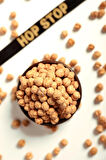 TUZLU LEBLEBİ 1 KG
