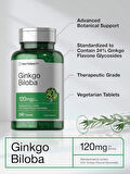 Horbaach Ginkgo Biloba Mabet ağacı ekstrat 120mg 240 Tablet Flavone Glycoside Vegetarian Gluten Free