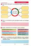 3.Sınıf Hayat Bilgisi - Etkinlikli Çalışma ve Soru Bankası Kitabı