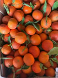 Hatay Erkenci Mandalina 10 kg