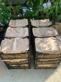 Hatay Erkenci Mandalina 10 kg