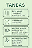 Taneas 3’lü Çubuk Tütsü Seti – Arruda, Adaçayı, Yeşil Elma –3x20’li Paket– Ruhsal Temizlik ve Huzur