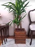 Ahşap Saksı 30x25 X25 Dekoratif Kestane rengi