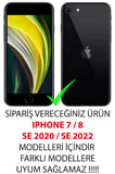 Apple iPhone SE Uyumlu Rönesans Tasarımlı Parlak Silikon Kılıf