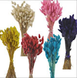 Sarı Doğal kuru pamuk otu