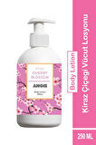 Pink Cheery Blossom Pembe Kiraz Çiçeği Vücut Kremi 250 ml
