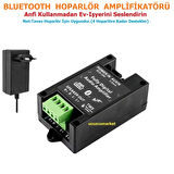 Bluetooth Hoparlör amplifikatörü (Tavan hoparlör için Uygundur- 4 Hoparlöre Kadar Destekler)