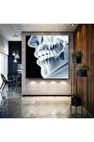 Diş Sağlığı Dişçi Diş Hekimi Çene Röntgeni Dentist Kanvas Tablo T3032212
