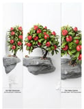 15x30x30 yılbaşı ağaçlı kaya bonzai