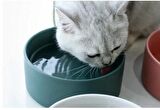 Kedi Mama-Su Kabı Çevre Dostu Seramik Ve Doğal Ahşaptan