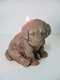 BÜYÜK KAHVERENGİ KÖPEK MUM