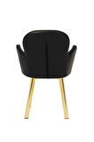 GOLD METAL AYAKLI SALON/MUTFAK SANDALYESİ KOLLUKELEBEK (DERİ)