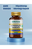 Köpek Balığı Kıkırdağı Kapsül 60 kapsül