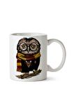 Harry Potter Hedwig Baykuş Porselen Kupa Bardak