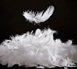 2 Kg. %100 Kaz Tüyü Dolgu Metaryeli %100 doğal