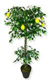 Limon Ağacı 160 Cm Yapay Ağaç Üretim Saksısı