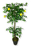 Limon Ağacı 160 Cm Yapay Ağaç Üretim Saksısı
