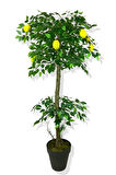 Limon Ağacı 160 Cm Yapay Ağaç Üretim Saksısı