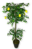 Limon Ağacı 160 Cm Yapay Ağaç Üretim Saksısı