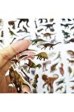5 Ayrı Poşet Çok Adetli 3d Dinozor Çıkartma Defter Sticker