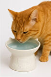 Kedi Figürlü Seramik Mama-Su Kabı