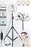 14 Inç Youtuber Video Oda Çekimleri Için Ring Light Sürekli Beyaz Led Işık Halka Led Işık 2m Tripod
