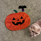 Cadılar Bayramı Temalı Kedi Oyuncak Seti | Hışırtılı Yarasa, Balkabağı Minder ve Örümcek Kedi Oltası